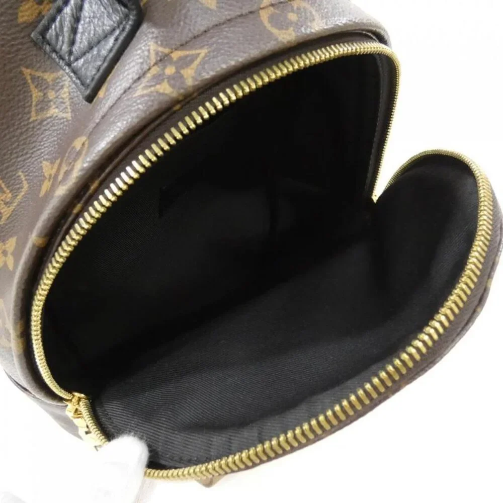 Louis Vuitton Monogram Reverse Palm Spring Backpack PM Marron - Picture 8 of 8
